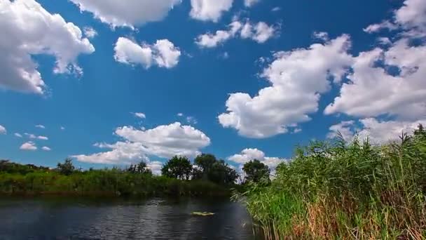 Yaz Nehri — Stok video