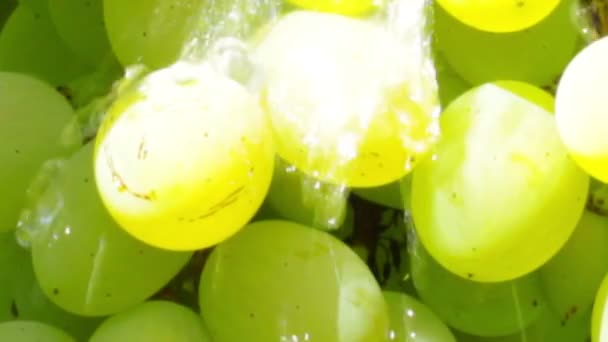 Uvas verdes — Vídeo de Stock