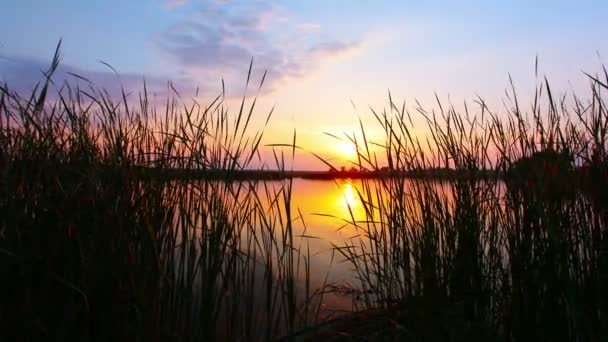 Solnedgång på floden — Stockvideo