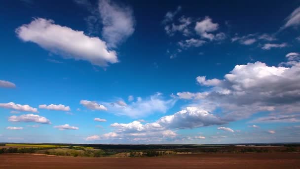 Campo bajo cielo nublado — Vídeos de Stock