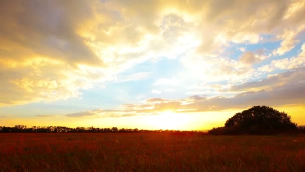 Cielo del atardecer — Vídeos de Stock