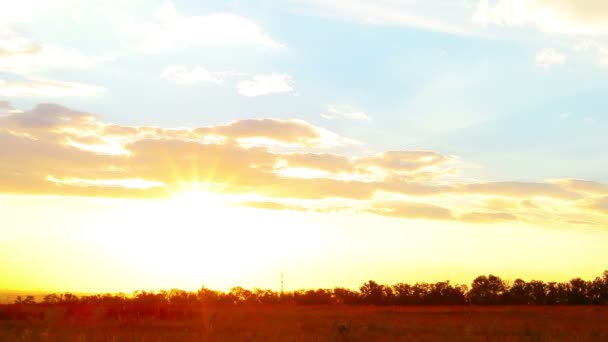 Cielo del atardecer — Vídeo de stock