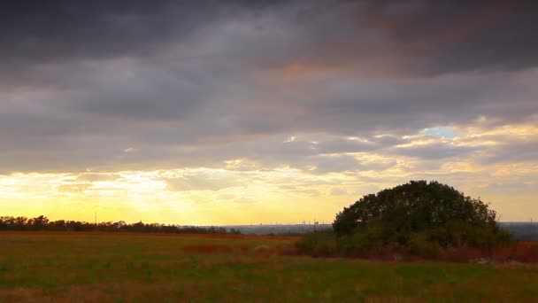 Céu do pôr do sol — Vídeo de Stock