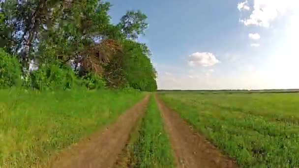 Passeios de carro na estrada — Vídeo de Stock