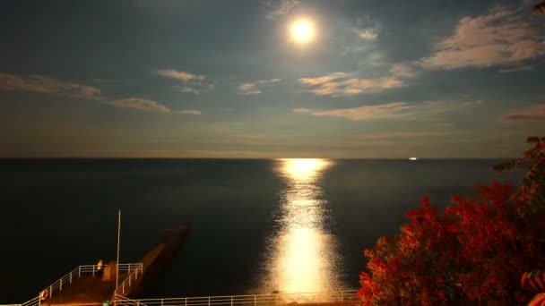 Ночное море — стоковое видео