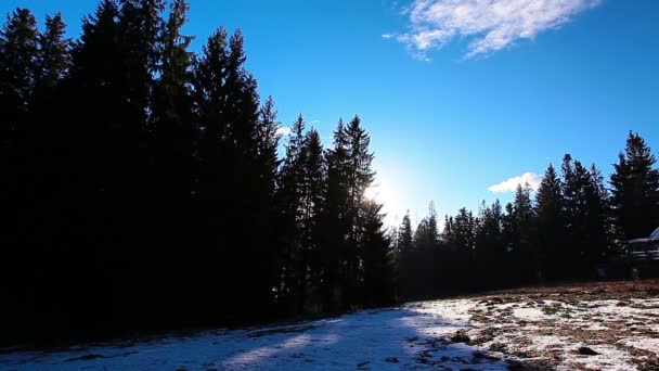 Krajobraz zimowy — Wideo stockowe