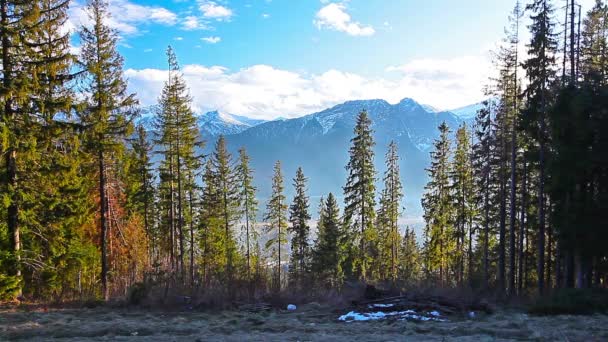 Berglandschaft — Stockvideo