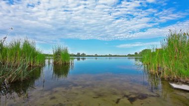 Yaz gölü manzarası