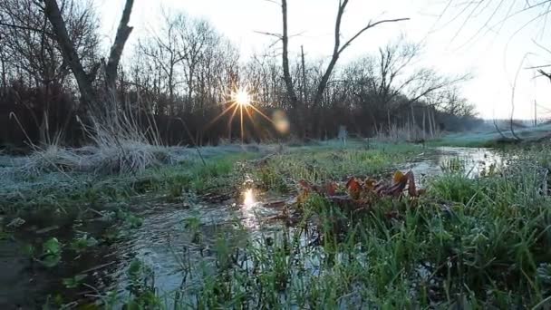 Clean water — Stock Video