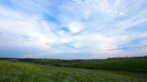 Campo bajo cielo nublado — Vídeos de Stock