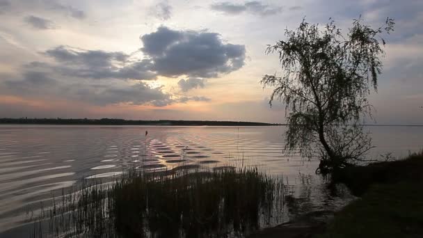 夏天河 — 图库视频影像