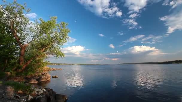 Lago de costa — Vídeo de Stock