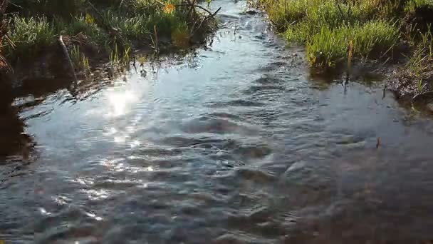 Eau propre