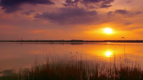 Lago serale al tramonto — Video Stock