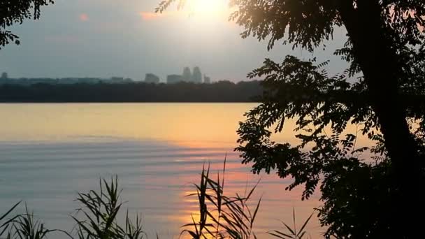 Ciudad atardecer — Vídeo de stock