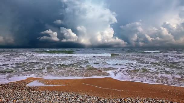 Onde del mare — Video Stock