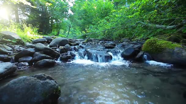 Clean water — Stock Video