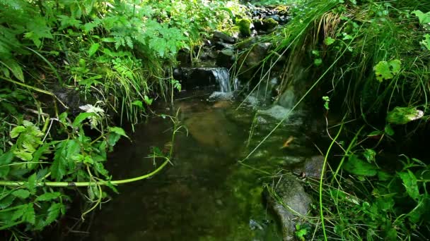 Eau propre
