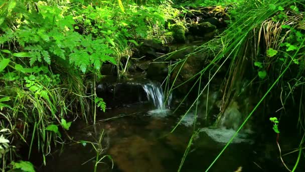 Agua limpia — Vídeos de Stock