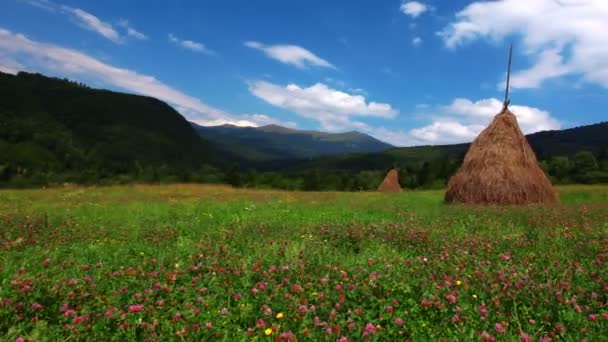 Haystacks sob céu nublado — Vídeo de Stock