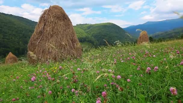 Tumpukan jerami di bawah langit mendung — Stok Video