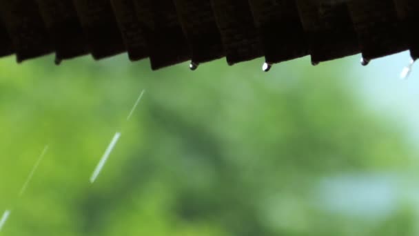 Капли дождя на крыше дома — стоковое видео