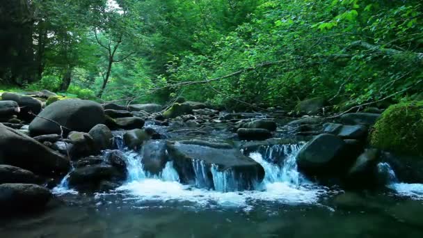 Agua limpia — Vídeo de stock