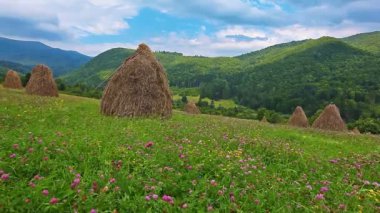 haystacks bulutlu gökyüzü altında