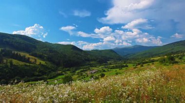 Yeşil Alan Manzarası