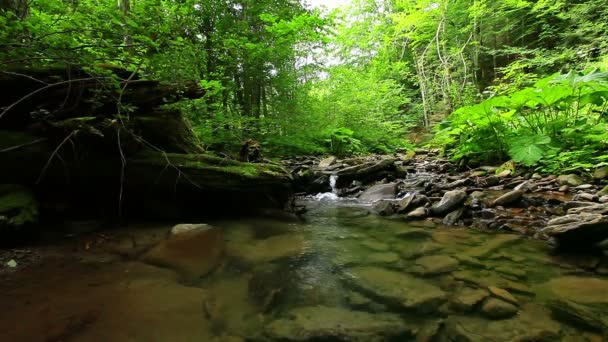 Agua de cascada limpia — Vídeo de stock