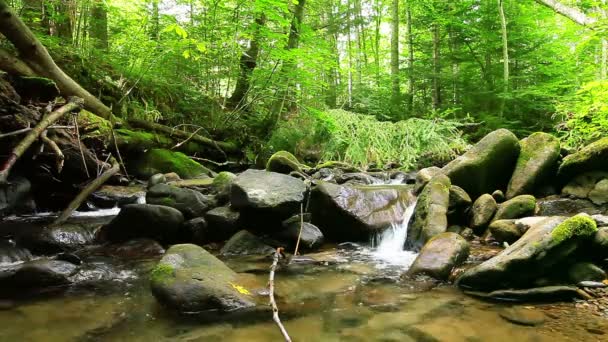 Sauberes Wasserfallwasser — Stockvideo