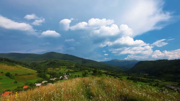 Paisaje de campo verde — Vídeo de stock