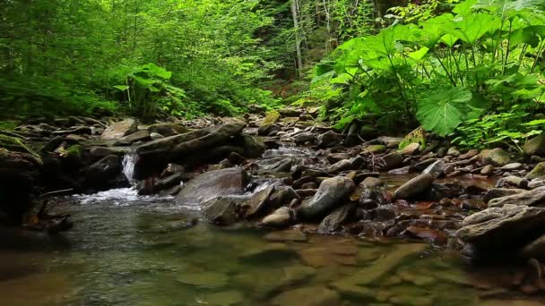 Eau de cascade propre 