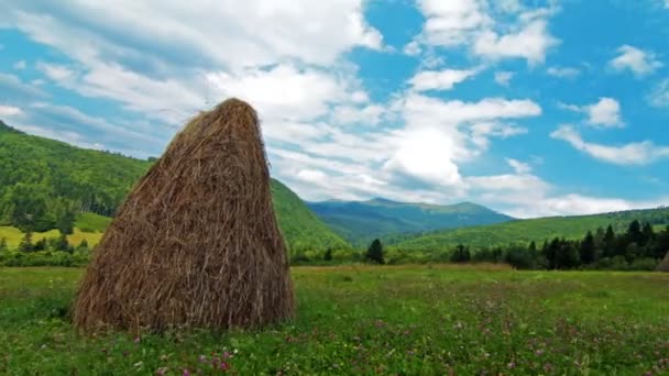 Haystack bajo el cielo nublado — Vídeo de stock