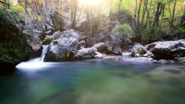 Ormandaki dağ deresi