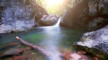 Ormandaki dağ deresi