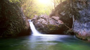 Ormandaki dağ deresi