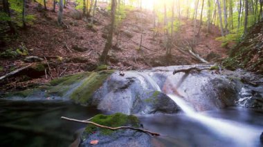 Ormandaki dağ deresi