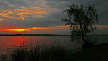 Yaz manzarası - Günbatımı güneş ışığı