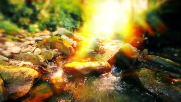 Mountain Stream Forest — Stock Video