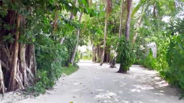 Passeggiata Sull Isola Tropicale Maldive Giugno 2021 — Video Stock