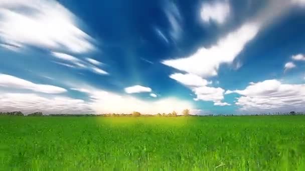 Grönt Fält Och Molnigt Himmel — Stockvideo