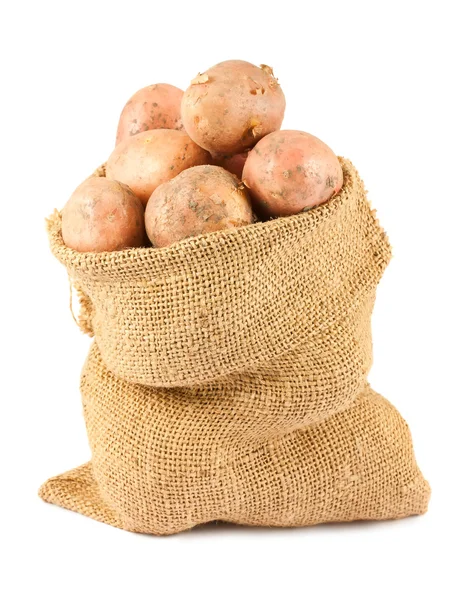 Ripe potatoes in burlap sack — Stock Photo, Image