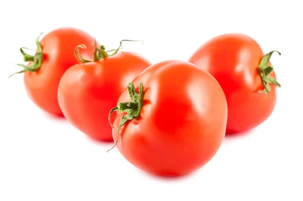 Reife rote Tomaten — Stockfoto