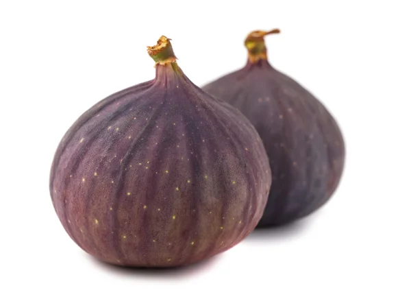 Pair of fig fruits — Stock Photo, Image