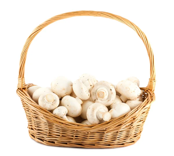 Champignons frais dans un panier en osier — Photo