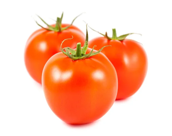 Tomates rojos maduros — Foto de Stock