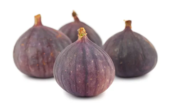 Frutos de figo roxo maduros — Fotografia de Stock