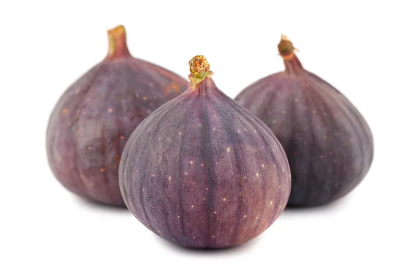 Ripe purple fig fruits — Stock Photo, Image