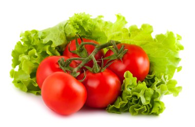yeşil salata yaprakları üzerinde olgun domates
